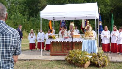Bild: hok
Den Altar zum Patroziniumsfest in Steinfels schmücken die Madonna aus der Schlosskapelle und Kräuterbuschen.