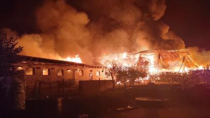 Bild: Kreisbrandinspektion Cham
Bei einem Brand in Treffelstein im Landkreis Cham sind laut Polizei 40 Rinder gestorben.
