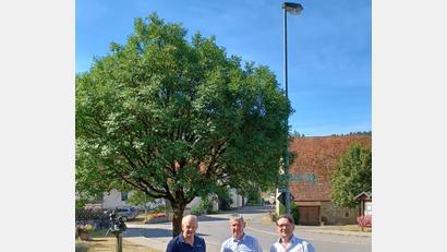 Bild: sgö
Unter einer der umgerüsteten Straßenlampen stehen (von links) Gerhard Schmerber, Bürgermeister Reiner Pickel und Markus Windisch.