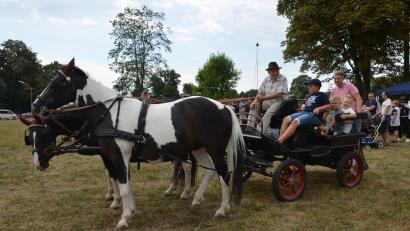 Bild: dob
Josef Mayer mit seinen Rappschecken „Lilly“ und „Leo“ zog eine Runde nach der anderen. Auf den Wagen dahinter stiegen Erwachsene und Kinder gerne ein. Die Brüder Raphael und Maxime Krahmer hatten mit ihrem Papa ihre helle Freude.
