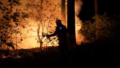 Symbolbild: Carsten Schmidt/Feuerwehr Bleckede/dpa
Ein Feuerwehrmann löscht einen Waldbrand. Die Waldbrandgefahr in Bayern ist weiter gestiegen.