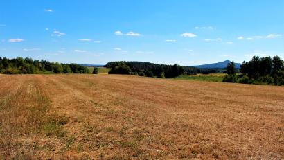 Bild: stg
Diese zehn Hektar große Fläche bei Haunritz mit Blick zum Rauhen Kulm dient künftig als Ausgleichsfläche für Baumaßnahmen der Stadt Kemnath.