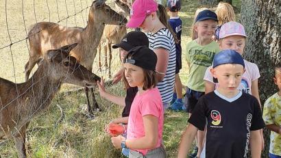 Bild: fz
Zutrauliche Rehlein - und die Kinder sind begeistert.