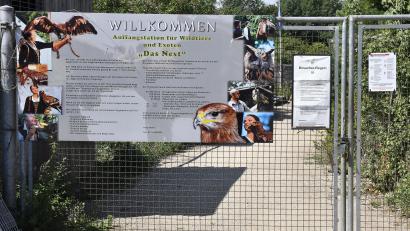 Bild: Petra Hartl
Der Eingangsbereich der Auffangstation für Wildtiere und Exoten "Das Nest" in Kümmersbuch bei Hahnbach. Besucher sind hier gerne gesehen – solange sie sich gesittet benehmen.
