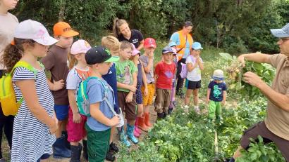Bild: wel
Die Kindergruppe des OGV Teunz, die "Wühlmäuse", macht einen Ausflug zum Kartoffelfeld von Bauer Elsner und hilft auch beim Graben mit.