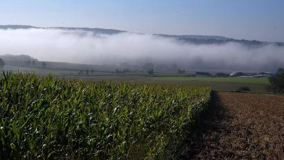 Bild: Petra Hartl
Tief „Karin“ zieht über Deutschland hinweg, bringt aber keinen flächendeckenden Regen.