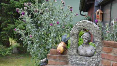 Bild: dob
Die Mariendistel überrascht ihre Besitzer heuer mit reicher Blüte. Fast glaubt man, sie entspringt der Gartenmauerskulptur
