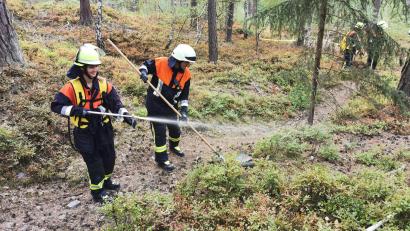 Bild: mde
Flexibel und schnell kann der Brand von einem Waldboden mit Feuerpatschen, zusammen mit Löschrucksäcken, eingedämmt werden. Rund 20 Liter Wasser fasst einer der Löschrucksäcke der Feuerwehr Kemnath.