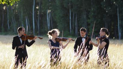 Bild: TenHagen Quartett/exb
Das TenHagen-Quartett spielt in Wurz.