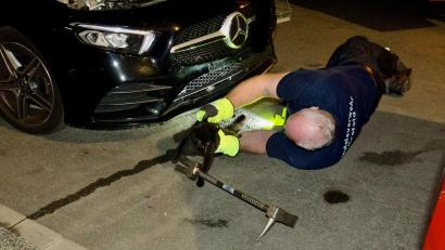 Bild: Alexander Forstreuter/dpa
Rettung für die eingesperrte Katze in Krefeld: Ein Feuerwehrmann holt sie aus dem Motorraum.