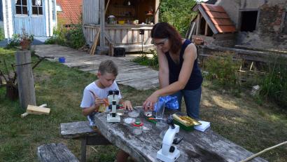 Bild: gi
Biologin Claudia Schmid zeigte dem Nachwuchs den Umgang mit Mikroskop und Becherlupe im Naturgarten.