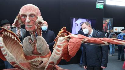 Symbolbild: Bodo Schackow/dpa
Eine Ausstellung in Weiden zeigt echte menschliche Körper.