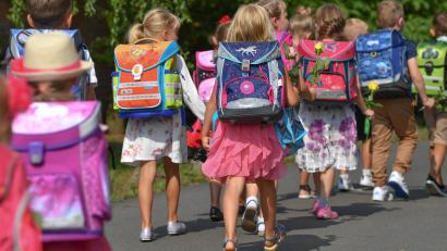 Symbolbild: Patrick Pleul/dpa
Über 400 Schüler mehr als im Vorjahr werden im Herbst eine Grundschule im Landkreis Schwandorf besuchen. Mit einem Katalog am Maßnahmen kämpft das Schulamt gegen den Lehrermangel an.