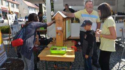 Bild: dob
Bei Maier's Honigladen besichtigten die Vorbeikommenden eine Bienenwabe mit der Königin.