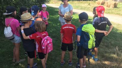Bild: Ziegler/exb
Viel Wissenswertes aus dem Leben im Mittelalter erfahren die Kinder bei der Führung durch den Geschichtspark.