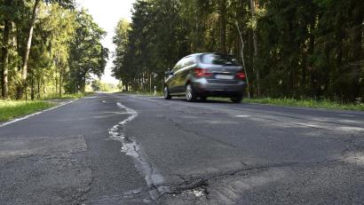 Bild: Petra Hartl
Entlang der Straße von Obersdorf nach Altmannshof, die sich in einem schlechten Zustand befindet, soll ein Geh- und Radweg für mehr Sicherheit sorgen.