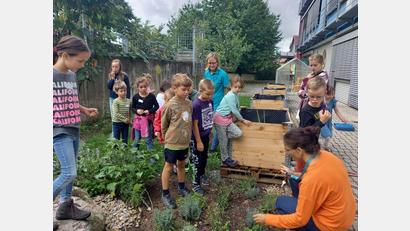 Bild: Laura Enzmann
Von Löwenzahn bis Thymian: Im Kräutergarten der St.-Felix-Schule gibt es viel zu entdecken.