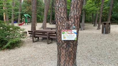 Bild: Stefan Jahreiß/exb
Am „Duzl-Baum“ beim Waldspielplatz in der Höllohe können Kinder ihre Schnuller aufhängen.