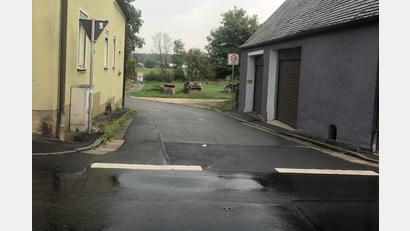 Bild: sei
Blick von der Hüttener Straße in die Moiergasse: Die Anwohner der Moiergasse haben oft wegen Fahrzeugen, die an der Einmündung parken, Probleme in die Hüttener Straße einzufahren.