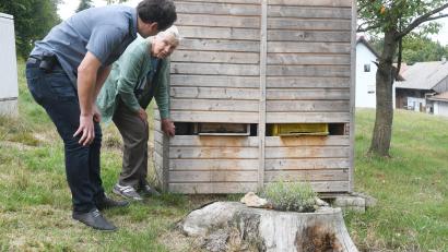 Bild: Gabi Schönberger
Stefan Weig und seine Großmutter Theresia Feneis kümmern sich gern zusammen um ihre Bienenzucht. Im Spätfrühling und Sommer starben in ihren Bienenkästen plötzlich rund 4000 Tiere.