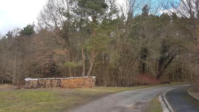 Bild: e
An der Bürgerwaldbrücke in Schnaittenbach soll bis September ein Waldkindergarten entstehen. Der Stadtrat überträgt die Trägerschaft an die Learning Campus gGmbH.