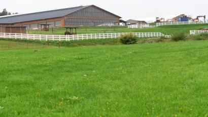 Bild: Gabi Schönberger
2021 war die Pferde-Ranch der Familie Engel bezugsfertig. Einige Stadträte kämpfen mit aller Macht für den Bau. Das Ergebnis in Halmesricht ist ernüchternd für die Stadt.