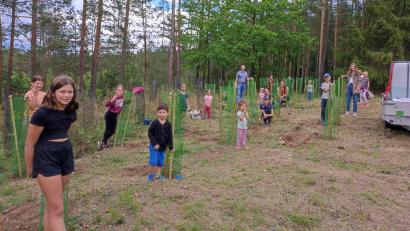 Bild: Christian Liebl/exb
25 Bäume wurden am Fischberg gepflanzt, wo früher der Hochbehälter stand.