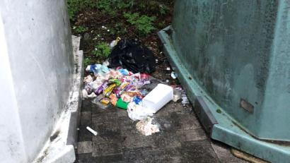 Bild: Gemeinde Etzenricht/exb
So sieht es immer wieder auf dem Containerplatz aus: Hausmüll wird einfach auf den Boden geworfen.