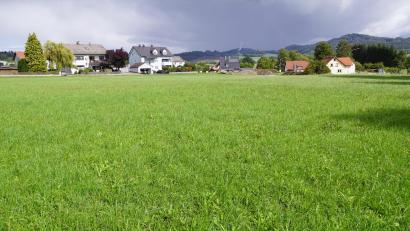 Bild: bkr
Die große grüne Wiese konnte die Gemeinde als Baugrund erwerben. Im Hintergrund sind der Armesberg und der Zinster Steinbruch zu erkennen.