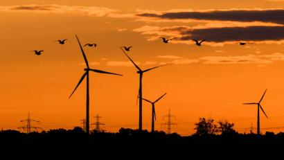 Bild: Julian Stratenschulte/dpa
Vögel fliegen bei Sonnenaufgang vor Windkraftanlagen in der Region Hannover.