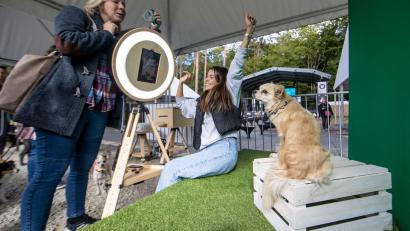 Bild: Christoph Reichwein/dpa
Im besten Licht: Nicht fehlen durfte auf dem Gelände der „German Petfluencer Awards“ natürlich eine Kulisse für Fotoshootings.