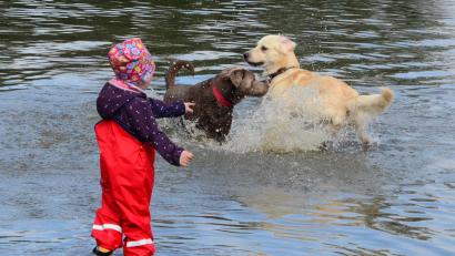 Bild: Kunz
Hundeschwimmtag im Schätzlerbad.