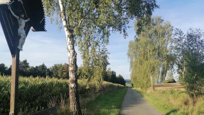 Bild: Kristin Winderl
Am Waldrand zwischen Oberkonhof und Mantlarn soll ein Funkmast gebaut werden.