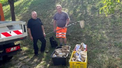 Bild: Marko Pammer/exb
Obstsortenbestimmung der Stadt Nabburg: Baumberater Wolfgang Engel und Bauhofmitarbeiter Karl Simon leisten dabei wertvolle Unterstützung.