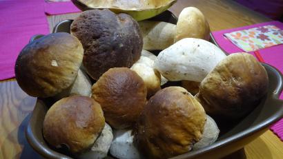 Bild: Houschka
Die Servietten liegen schon auf dem Tisch. Jetzt müssen die Steinpilze nur noch geschnitten, und zu einer nicht nur im regionalen Raum beliebten "Schwammerlbröih"verarbeitet werden. Darauf musste man heuer lange warten.