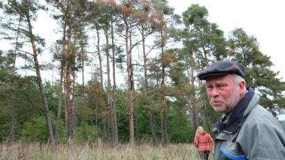 Bild: Hirsch
Rote Flecken im Kiefernwald: In dieser Dramatik hat Forstdirektor Alwin Kleber das Baumsterben noch nicht erlebt.