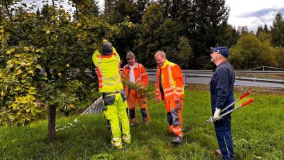 Bild: soj
Theo Schiener zeigten den Bauhofmitarbeitern beim Insektenhotel am Fahrradweg Richtung Brand die Grundbegriffe des richtigen Baumschnitts und die Besonderheiten der Ebnather Obstbäume.