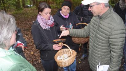 Bild: fz
"Der sieht gar nicht so aus, aber er ist gut und essbar", diagnostiziert Stefan Hartwig angesichts des Pilzfundes der jungen Parksteinerin.
