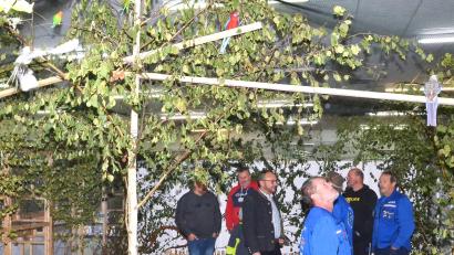 Bild: fjo
EIntauchen in die bunte Welt der Vögel lässt es sich im Waidhauser Kleintierzentrum am langen Wochenende.
