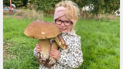 Bild: Katharina Prucker/exb
Die vierjährige Elisa aus Waldershof war das erste Mal beim Schwammern.