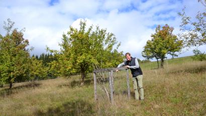 Bild: gi
Bei der Suche nach wertvollen Flächen im Sinne der Biodiversität fiel die Auswahl des Planungsbüros BKB aus Schwandorf auf ein gemeindliches Grundstück: einen Obstgarten an der Straße von Moosbach über den Neubau nach Burgschleif.
