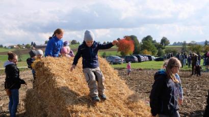 Bild: le
Riesengaudi auf dem Kartoffelacker. Die Kinder genießen den Nachmittag in der freien Natur. Vor allem die Strohballenrutsche hat den Kindern angetan.