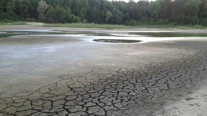 Bild: oe
Die Sandgrube 1 musste abgefischt werden. Hier hatte kein Wasserbewohner eine Chance zu überleben.