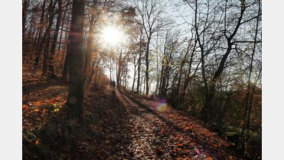 Bild: Petra Hartl
Am Wochenende wird es nochmal warm und sonnig.