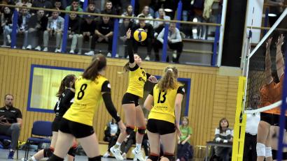 Archivbild: Hubert Ziegler
Nach zwei Wochen Pause empfangen die Hahnbacher Regionalliga-Volleyballerinnen (In der Mitte Lorena Tilgen) den Absteiger TV Fürth.