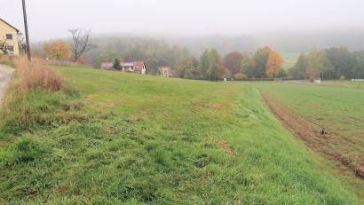 Bild: bsc
Eine ökologische Aufwertung erfährt die „Spornwiese“ (Bildmitte) durch das Pflanzen von Obstbäumen und einer Hecke sowie einer Wiesenextensivierung. Die Wiese im Ortsteil Frauenreuth ist eine von fünf Flächen, die Friedenfels für sein Ökokonto bereitstellt.