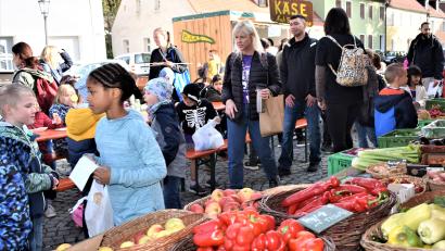 Bild: rgr
Am Donnerstag, 20. Oktober gibt es ein Herbstfest beim Grafenwöhrer Wochenmarkt.