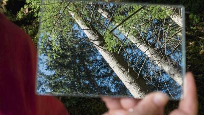 Bild:  Andreas Drouve/dpa
Wald im Spiegel: Bei dieser Übung steht die Welt praktisch Kopf.