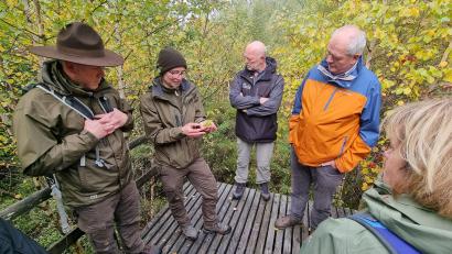 Bild: bsc
Die Naturparkranger Cornelia Greiner (Zweite von links) und Jonas Ständer (links) zeigten den Teilnehmern der Exkursion im Steinwald auch einen Pflanzenkopf eines Torfmooses.