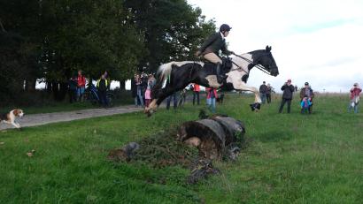 Bild: usc
Mehr als 20 Hindernisse, meist dicke Eichenstämme, galt es zu überwinden.
